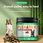Pet Itching Relief Products | Natural Health Care for Dogs & Cats