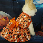 Halloween Pet Costume – Cute & Comfortable Party Dress for Dogs & Cats